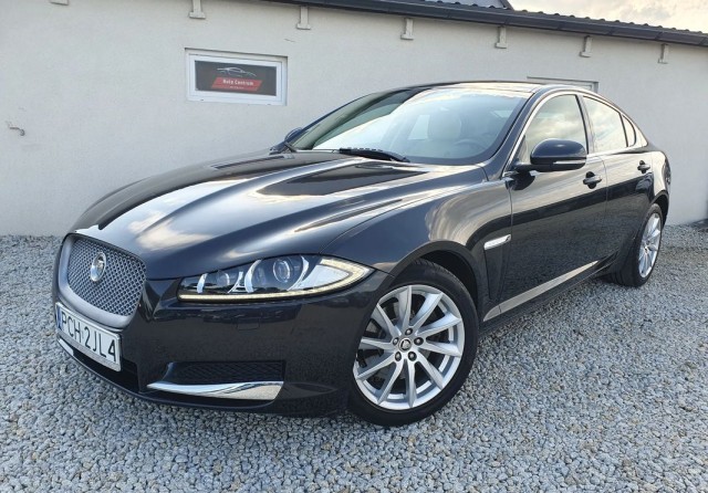 jaguar